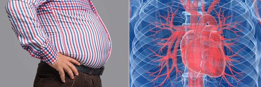 چاقی شکمی خطر ابتلا به بیماری‌های قلبی را افزایش می‌دهد.