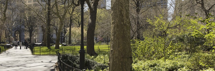فضای سبز شهری به کاهش خطر سرطان سینه کمک می‌کند!