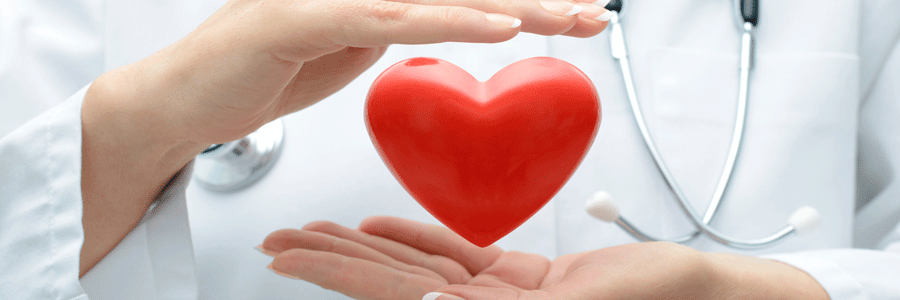تغذیه و پیشگیری از بیماری قلبی – تغذیه و سلامت قلب