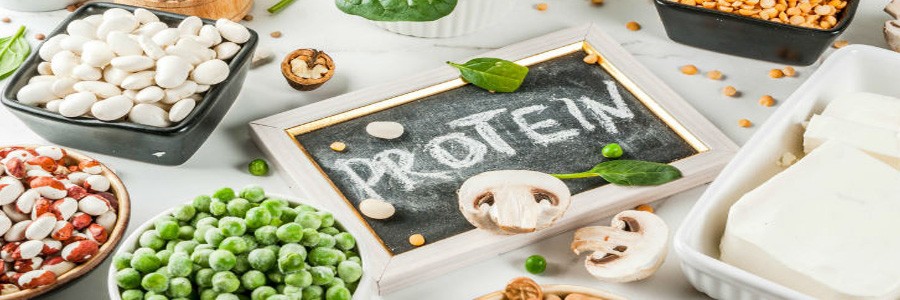 نقش پروتئین در بدن - چرا باید پروتئین مصرف کنیم؟