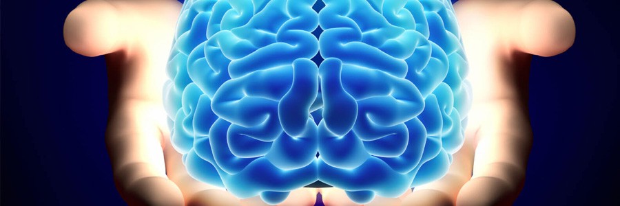 سکته مغزی – چرا سکته مغزی رخ می دهد؟